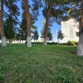 ARENDA OFIS MIR 6