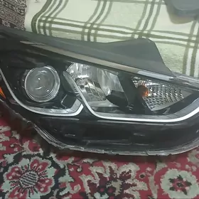 sonata fara