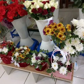 satlyk sowda we hususy emlak