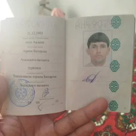 Pasport ýitdi