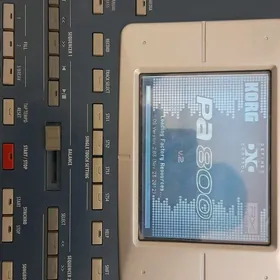 korg pa800