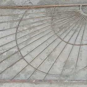 Raşotga