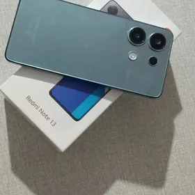 нот 13