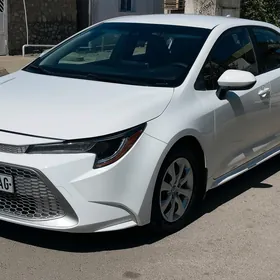 Toyota Corolla 2021
