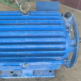 elektro mator