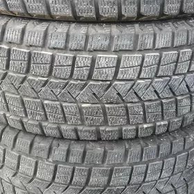 245-45-20 nlsnowmax