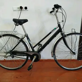 Panasonic 27 Ýapon Welik