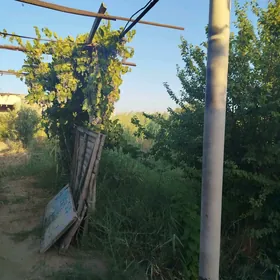 сатлык дача