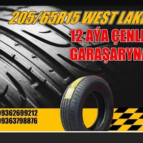GARAŞARYNA❗TEKER 205/65R15