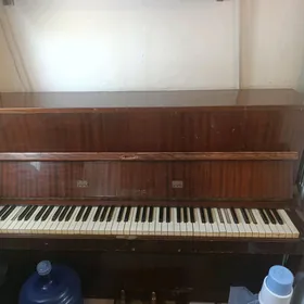 forta piano