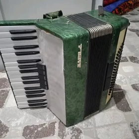 Akkardeon