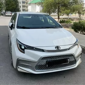 Toyota Corolla 2021