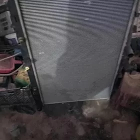 sienna radiator 18y