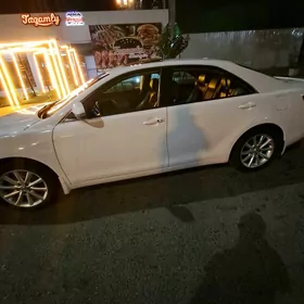 Toyota Camry 2010