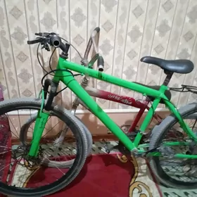 Turkmenistan welik