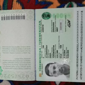Pasport yitdi
