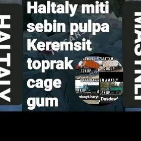 MITI SEMENT KERPIC GRAWY TOYUN