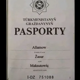 paaport tapana bayragy bar