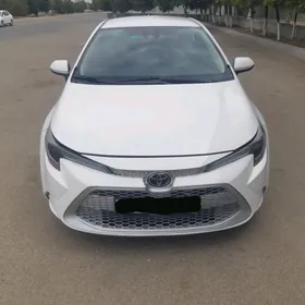 Toyota Corolla 2019