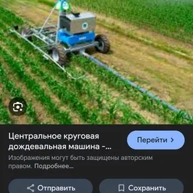 дождевик