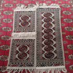 Malosny el haly