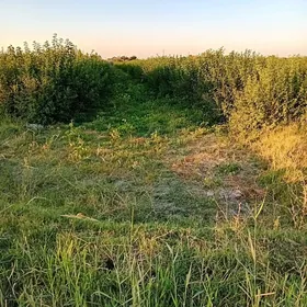 Хатар тутлык
