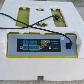 inkubator