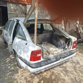 Opel morda