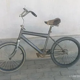 Welisopet kiçi