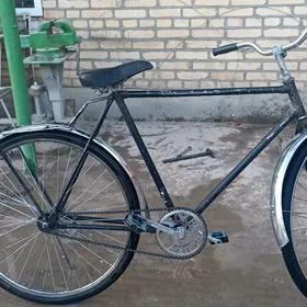 аист фелик