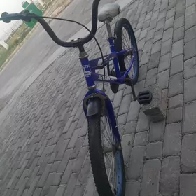 kama tigir