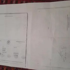 Pasport паспорт