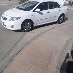 karolla gusak arginal haliji