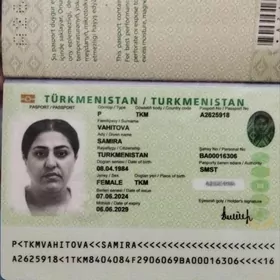 Zagran pasportym yitdi