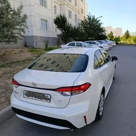 Toyota Corolla 2021