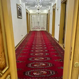 14 tapgyr savhozny koce