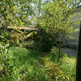 Плановый дом в ЦЕНТРЕ