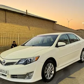 Toyota Camry 2014