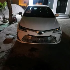 Toyota Corolla 2020