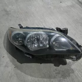 Carolla S Fara