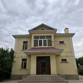 Anew kotej