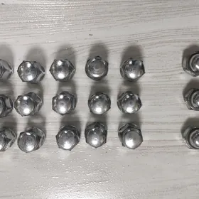 bolt