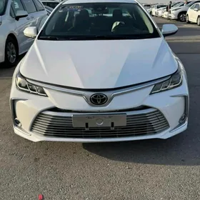 Toyota Corolla 2021