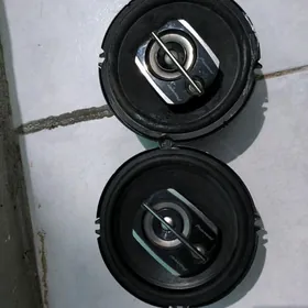 pioneer nikl 300lik