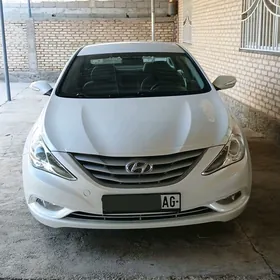 Hyundai Sonata 2010