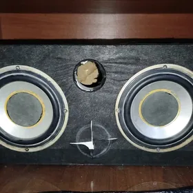 bass bocga