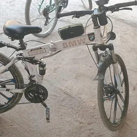 bmw tigir