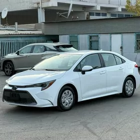 Toyota Corolla 2020