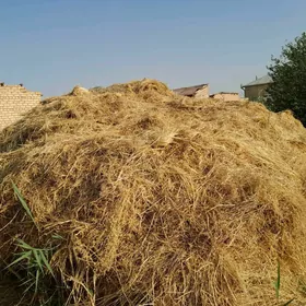 Mal üçin gyşlyk Ot