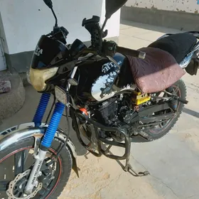 Fekon FK150-8G 2019